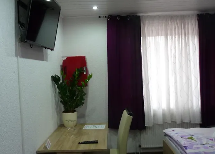 Rodizio Ug Wolfsburg